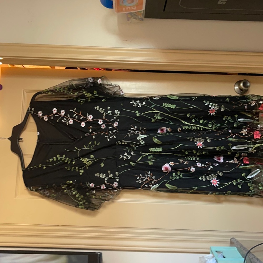 Plus size floral embroidered mesh a-line dress